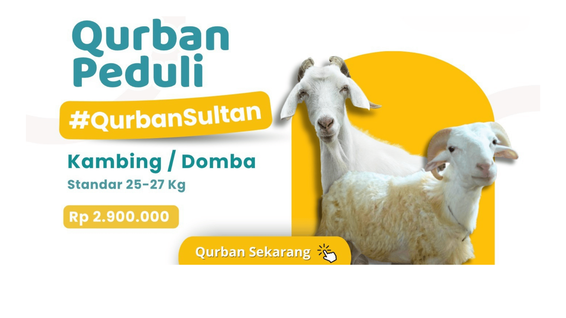 qurban standar