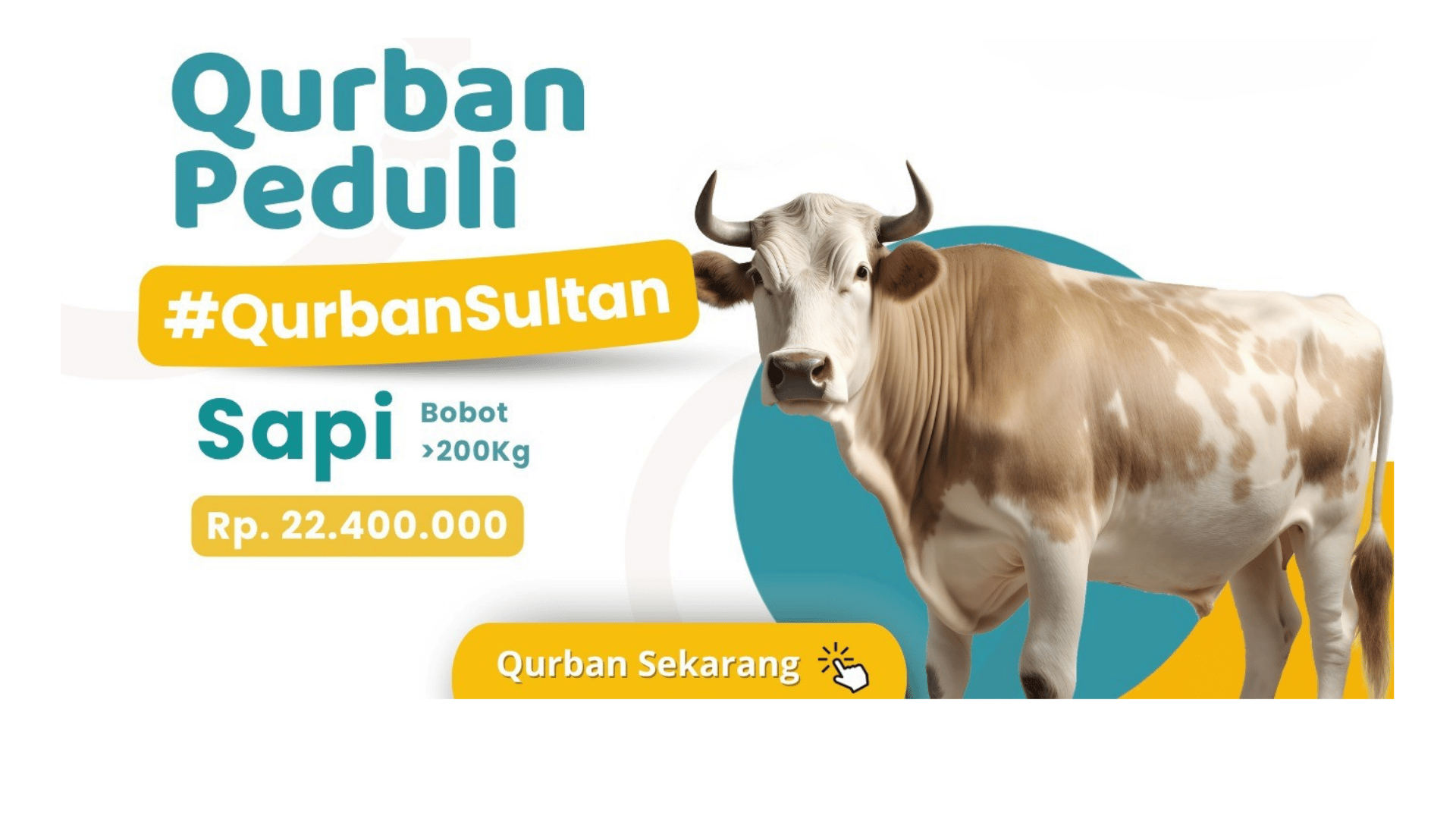 qurban sapi