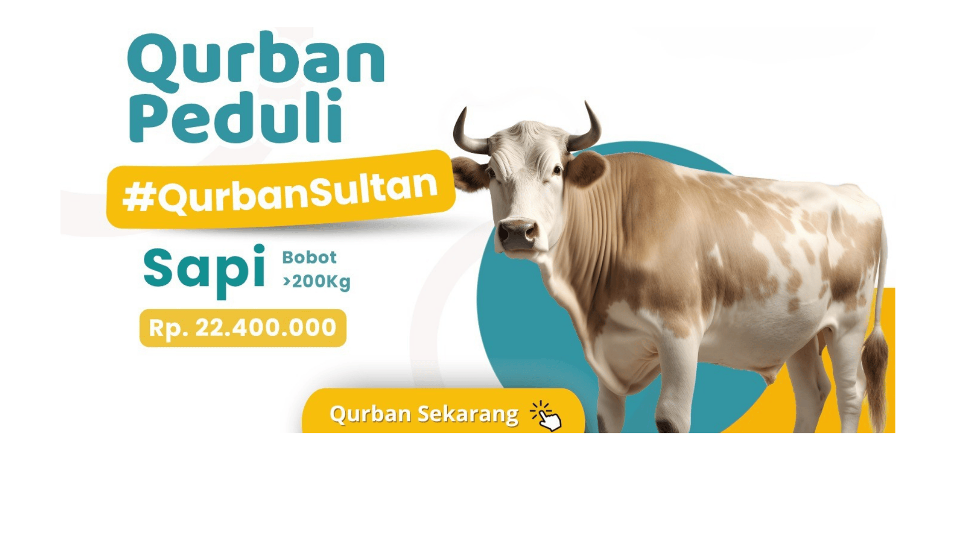 qurban sapi
