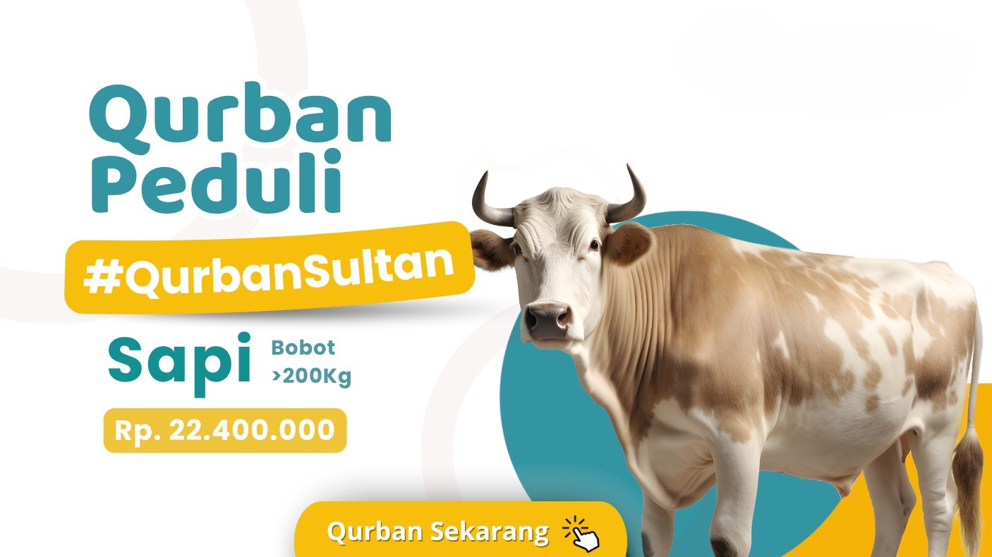 qurban sapi